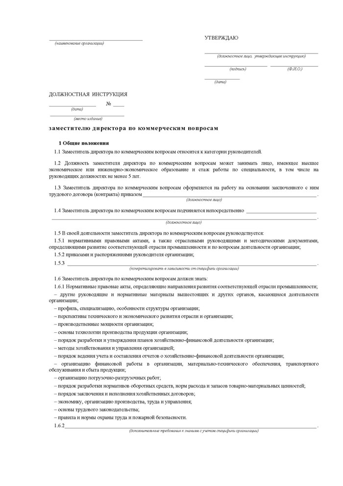 должностная инструкция заместителя директора по коммерческим вопросам