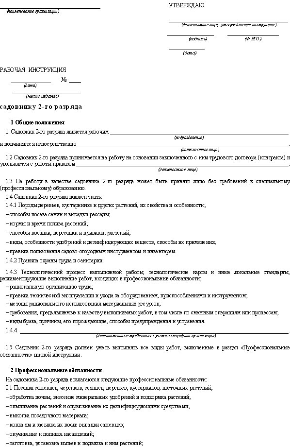 Рабочая инструкция образец